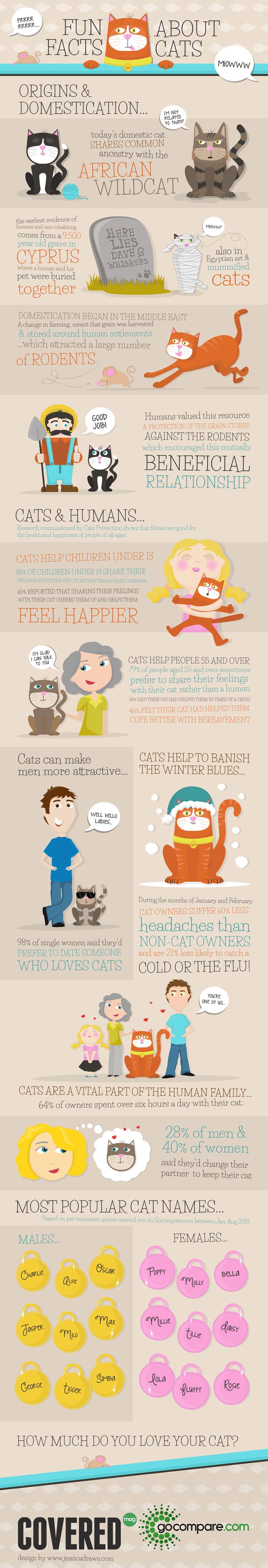 infographic about cat facts